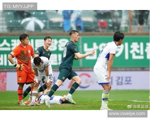 首尔依恋与城南FC的激烈对决展现足球魅力与团队精神的较量
