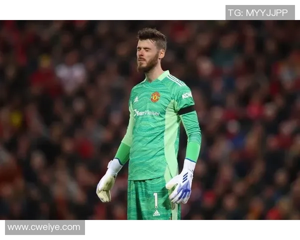 从1999到2008曼联的辉煌历程与战术演变分析