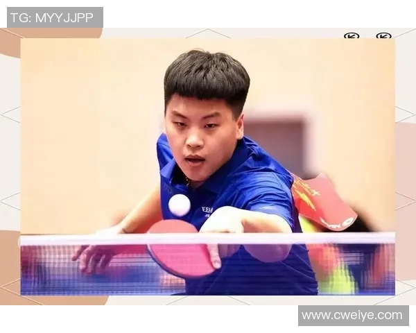 武汉乒乓球队的训练与竞技状态全景揭秘乒乓球的魅力与挑战